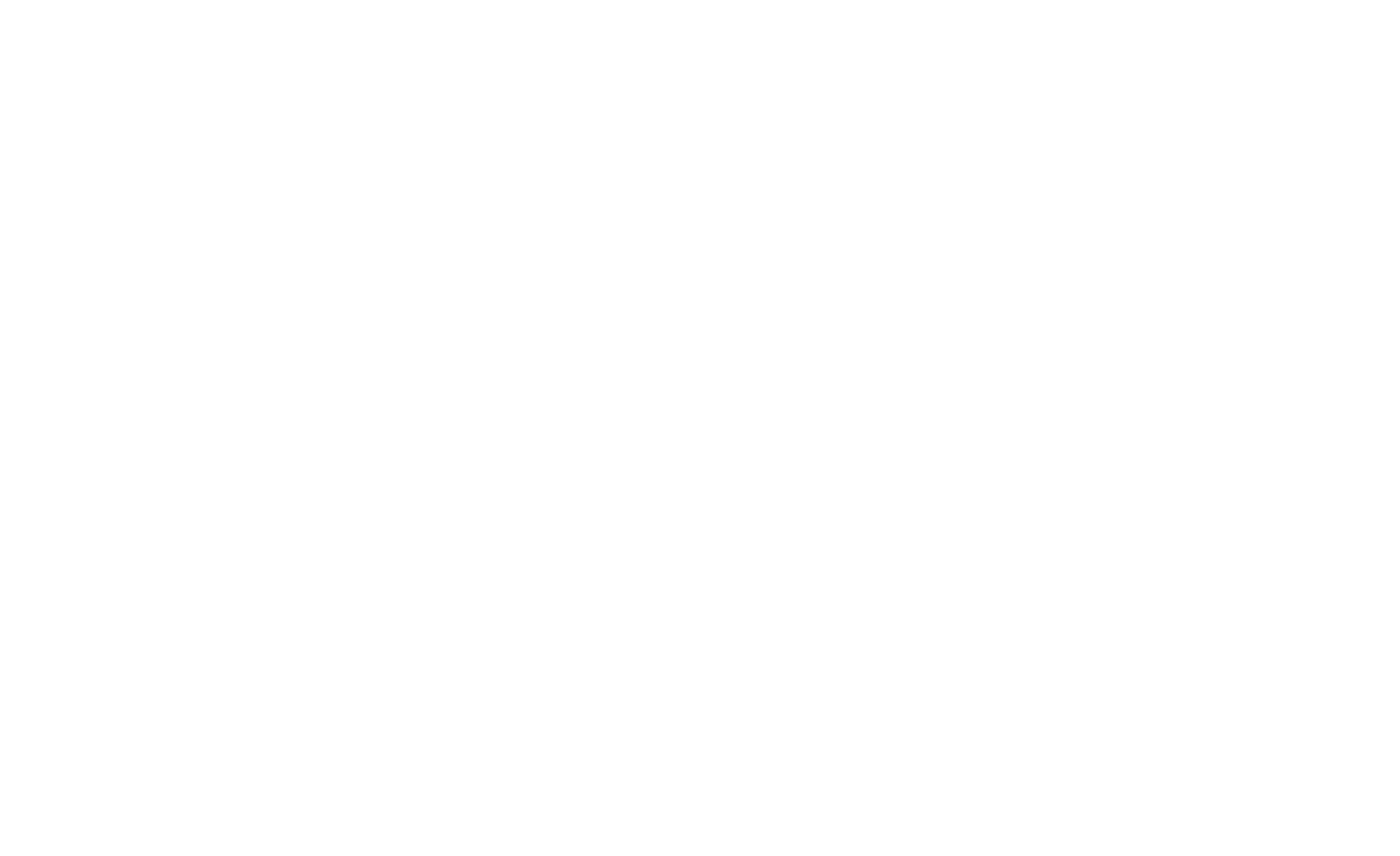 BlueScope logo